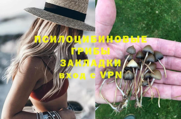 метадон Белокуриха