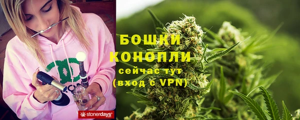 метадон Белокуриха