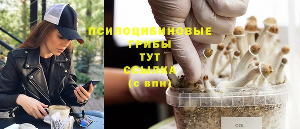 эйфоретик Белоозёрский